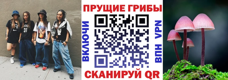 цена Городище Псилоцибиновые грибы Magic Shrooms